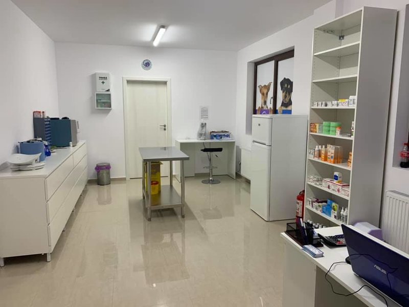 Amethyst Clinic Vet - Clinica veterinara