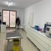 Amethyst Clinic Vet - Clinica veterinara